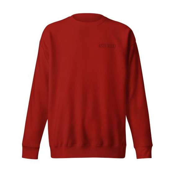 sudadera unisex premium con frente pequeño Asturico